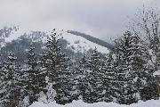 8 vista