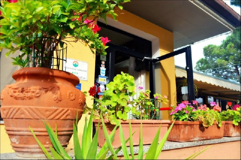 02 ingresso
