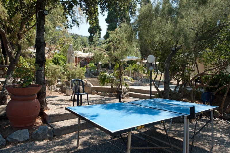 05 ping pong