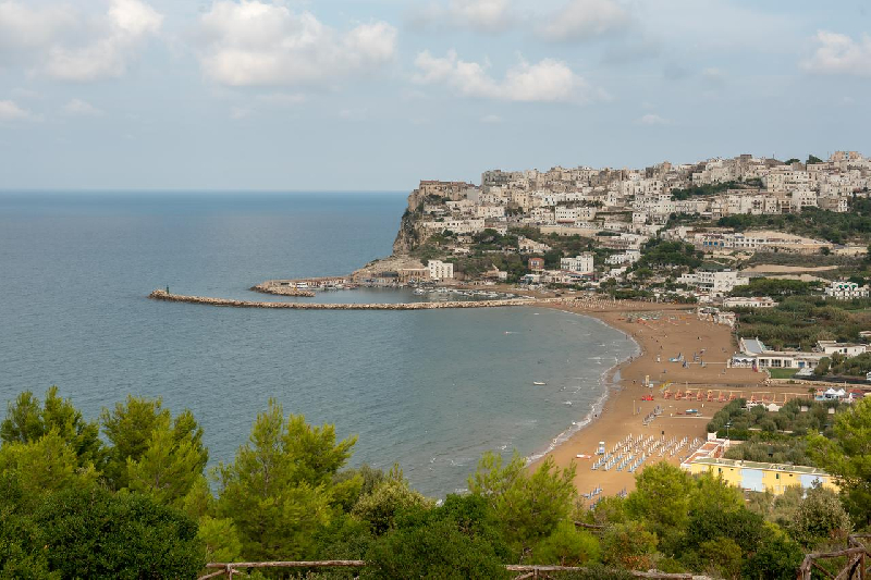 01 panoramica