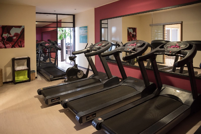 11 palestra