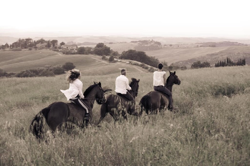 12 - cavallo