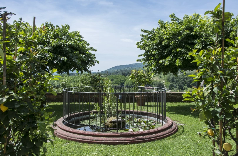 15 giardino