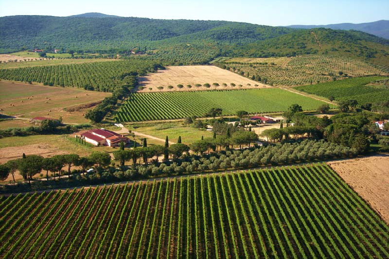 Agriturismo in fraz. Roselle a Grosseto